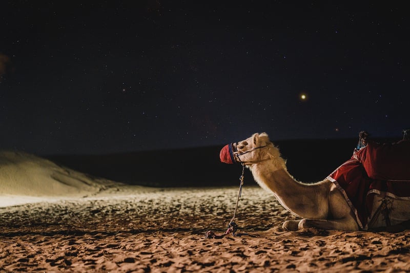 Dubai, UAE
